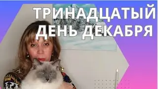 753. ДЕКАБРЬ 2023. ДЕНЬ 13Й. МАГАЗИННО-РАЗБИРАТЕЛЬНЫЙ.