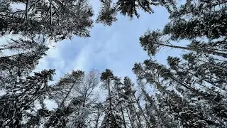 ФИЛЬМ «САМАЯ ДЛИННАЯ НОЧЬ»