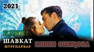 ШАВКАТ ҚИСМИ-77-78 БЕҲТАРИН КЛИПИ ОШИҚИ NEW 2022