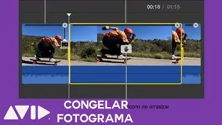 Como congelar un fotograma en Avid Media Composer First