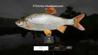Русская рыбалка 4,старый острог, точка плотвы + трофей