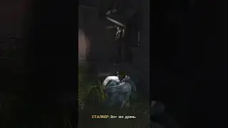 Когда играешь в True Stalker и Жуткое место #truestalker #stalker2 #stalker #stalker