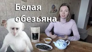 Завариваем зеленый чай БЕЛАЯ ОБЕЗЬЯНА. Образ обезьяны в китайской мифологии и культуре.