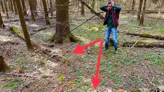 ПОМОГИТЕ! ВЕСЕННИЕ ГРИБЫ НА КАЖДОМ ШАГУ! ОГРОМНЫЕ ПОЛЯНЫ ГРИБОВ! Грибы 2022