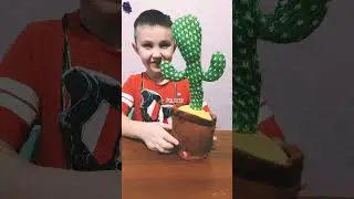 Кактус повторюха #shorts #кактус