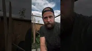 Garden Short #2