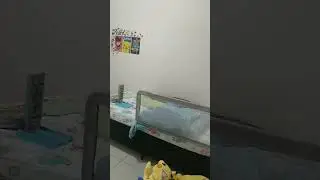 3 de novembro de 2023