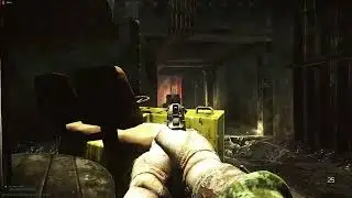 tarkov stirrup quest
