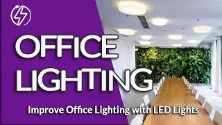 How Does Light Increase Productivity?  (Natural Light In Your Office)