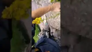 Pitch 4 Thin Air Trad Climb. Press above "created from" to view full video
