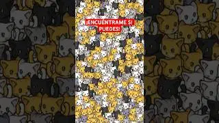 ENCUÉNTRAME SI PUEDES 😜