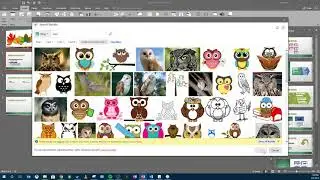 PPTMOD1V6   PowerPoint Views, Inserting Online Images, and Resizing Images
