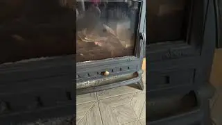 6 августа 2020 г.