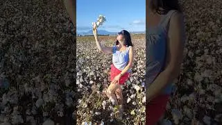 Почему мы выбираем Турцию❣️