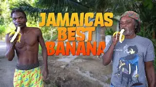 Chucky's Favourite Bananas | Travel Mishap ran out of Gas