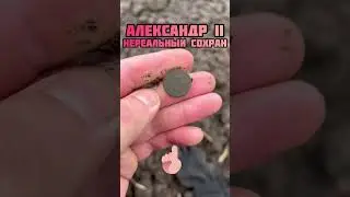 КОП НА МЕСТЕ МАГАЗИНА! 
