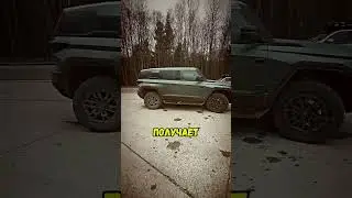 😱ДАВИДЫЧ ОБОЗРЕВАЕТ МОЩНОГО КИТАЙЦА #shorts #car #smotratv #litvin
