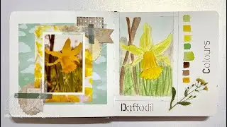 Daffodil - Nature Journal