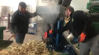 Ekstruzja