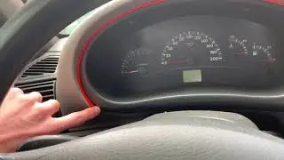 Flexible Neon for Your Car: Installation Guide