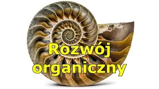 Zapasowy termin Paschy (Lb 9, 1-14)