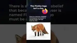 Tech Fact #1: The Firefox Logo Isn't a Fox. 