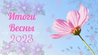 Итоги Весны 2023: Финишы, Старты, Продвижения, Покупки. \ Немного болтологии.