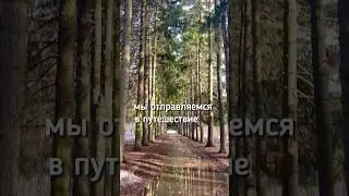 Весеннее пробуждение 🧳💚