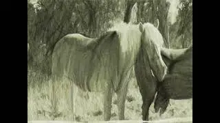 Charcoal And Chalk Drawing Effects on Videos