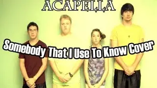 Somebody That I Used To Know Cover (Acapella)