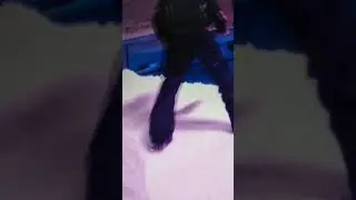سكي مصر