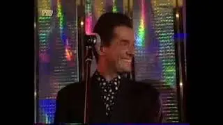 Falco von Polizei abgeführt