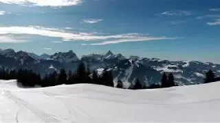 Pasje serca