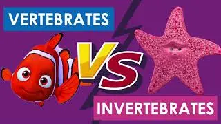5- Minute Quiz: VERTEBRATES VS INVERTEBRATES