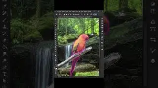 Macro photography in Photoshop