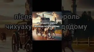История собачек Взял из Тиктока