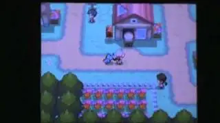 Pokemon Heartgold-Part 2-Mosaic Metapod