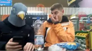 Голубь, который смог [GPTV]