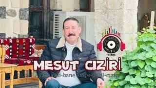 MESUT CIZİRİ - AYŞANA ALİ & BANE KESRE & DALAL & CIZİRE 2024 NEW