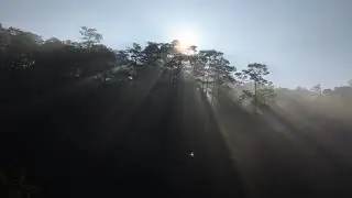 Dalat early morning