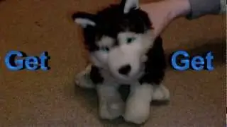 My Editor is a Spaz {Kiss You Webkinz Music Video}