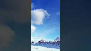 БЫЛИ БЫ КРЫЛЬЯ! 