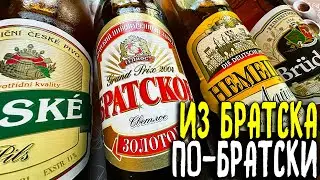 #429: НАСТОЯЩЕЕ ПИВО ОТ БРАТСКОГО ПИВОВАРЕННОГО ЗАВОДА (российское пиво).