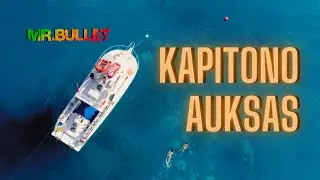 Mr.Bullet - KAPITONO AUKSAS [Naujiena 2024/08/23]