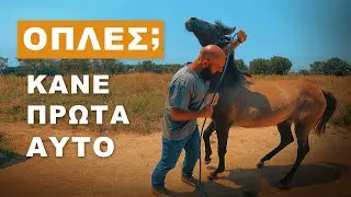 Μην Σηκώσεις τις Οπλές του Αλόγου σου Προτού Κάνεις Αυτό