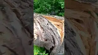 Пешеходный переход закрыт