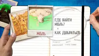 Grounded 🐜 Где найти Моль? | Как добраться? | Where to find moths?