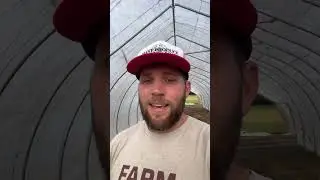 NOW IS THE TIME TO PLANT YOUR FALL GARDEN #gardening #homestead #garden