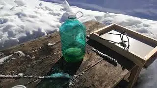 Улей ппу, Сибирь, 14 марта.