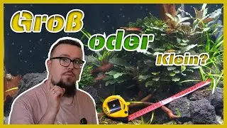 Welche Aquariengröße führt zum Erfolg?